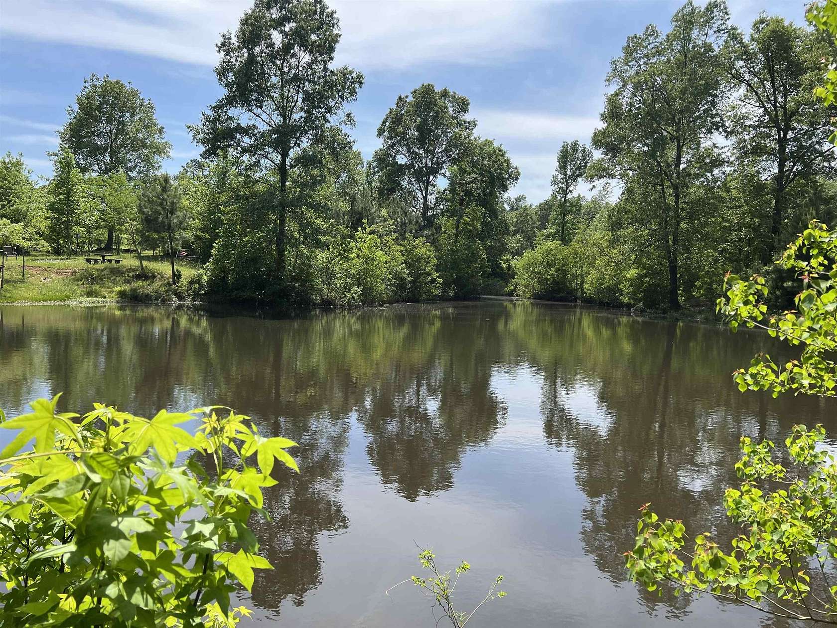 10.3 Acres of Land for Sale in Timpson, Texas