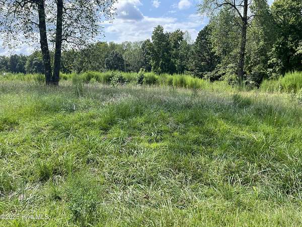 11.6 Acres of Land for Sale in Spring Hope, North Carolina