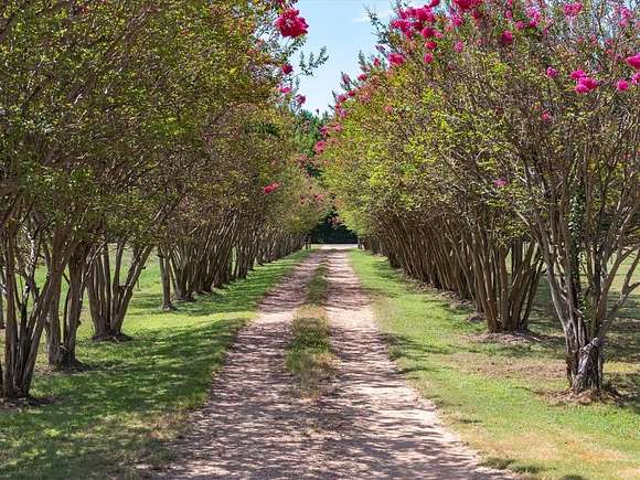 52.01 Acres of Agricultural Land with Home for Sale in Winnsboro, Texas