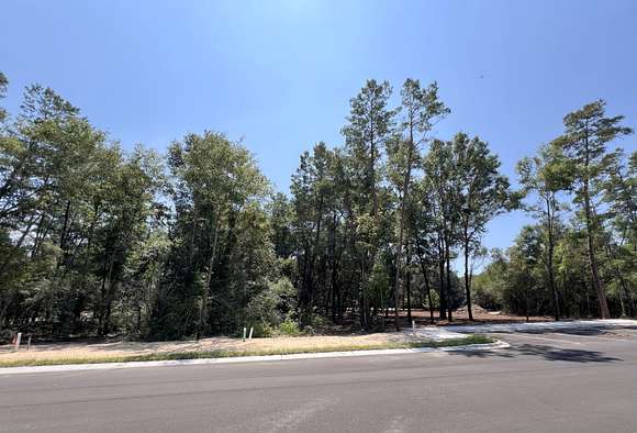 0.19 Acres of Mixed-Use Land for Sale in Niceville, Florida