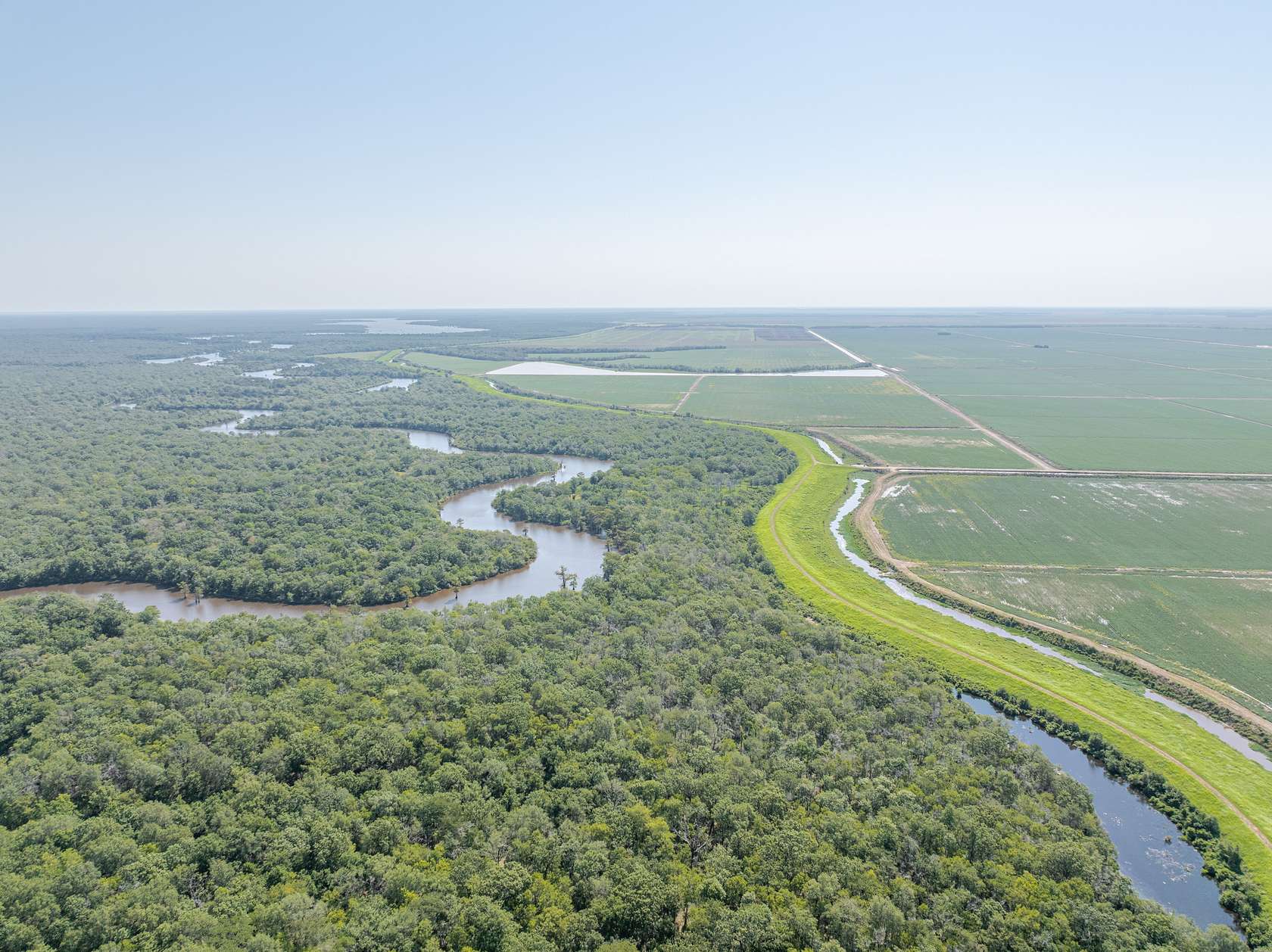 242.1 Acres of Recreational Land for Sale in Effie, Louisiana