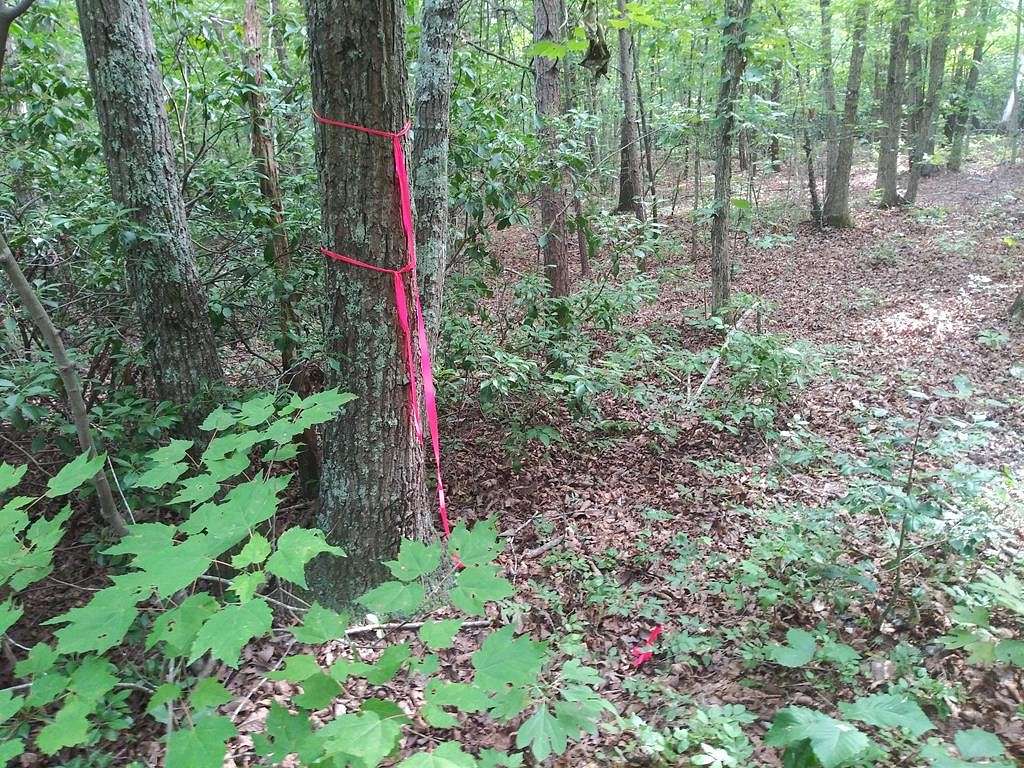 50 Acres of Recreational Land for Sale in New Canton, Virginia