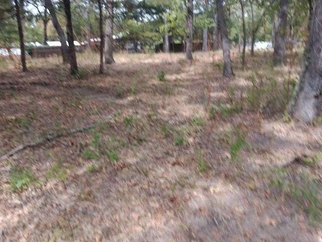 0.164 Acres of Residential Land for Sale in Wills Point, Texas