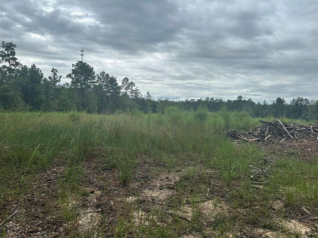 12.061 Acres of Land for Sale in Carriere, Mississippi