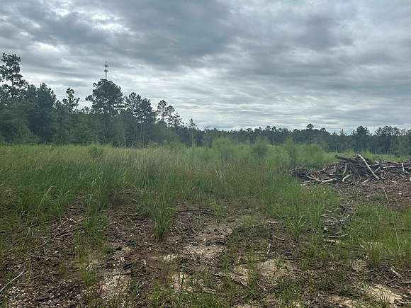 12.061 Acres of Land for Sale in Carriere, Mississippi