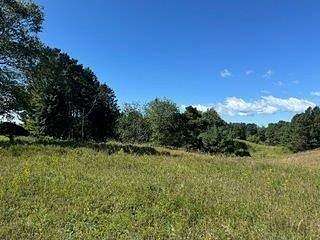 0.75 Acres of Residential Land for Auction in Harbor Springs, Michigan