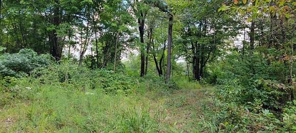 4.99 Acres of Land for Sale in Deer, Arkansas