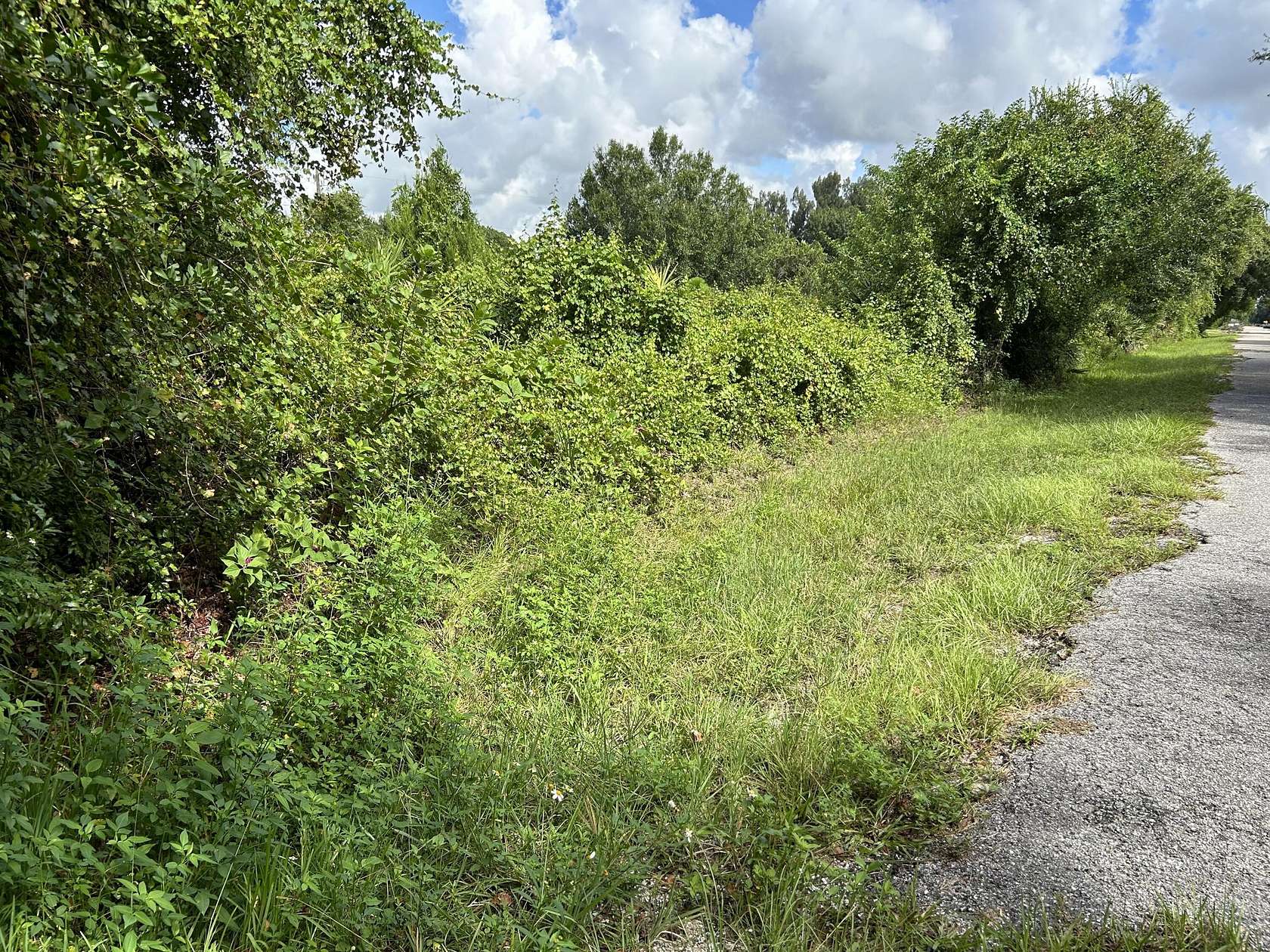 0.46 Acres of Residential Land for Sale in Okeechobee, Florida