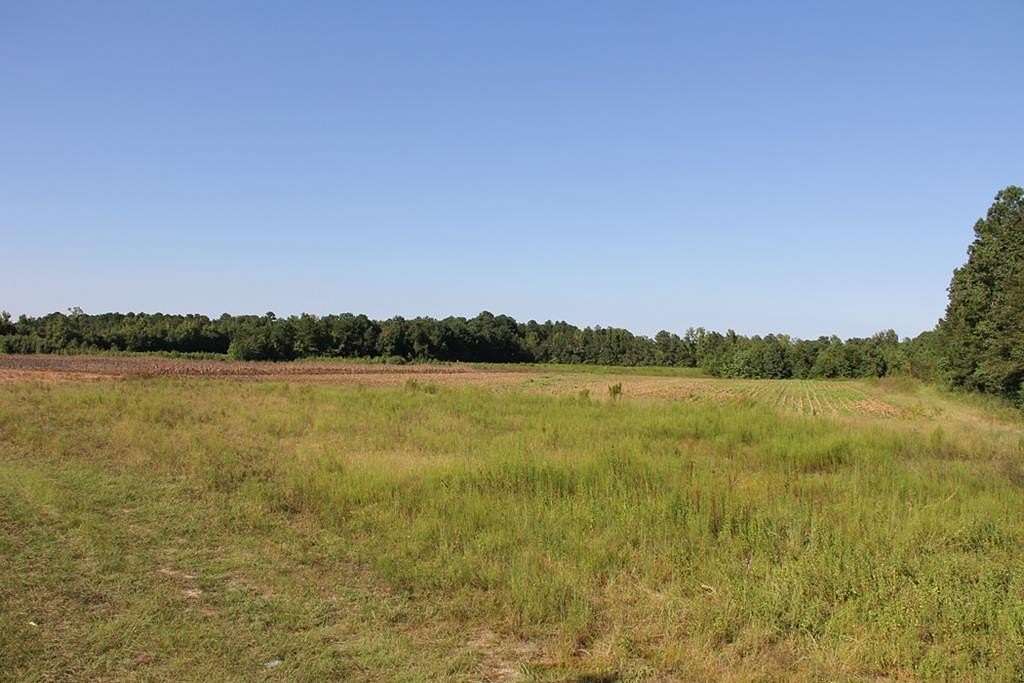 71.29 Acres of Land for Sale in Orangeburg, South Carolina