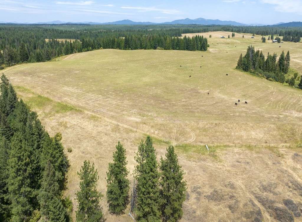 44.17 Acres of Recreational Land & Farm for Sale in Weippe, Idaho