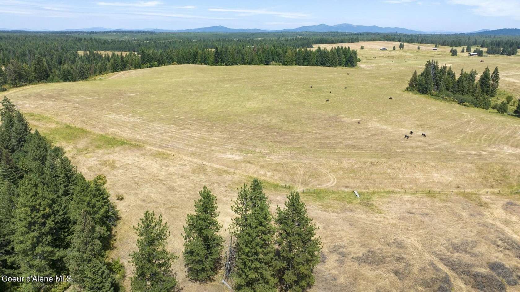 44.2 Acres of Agricultural Land for Sale in Weippe, Idaho