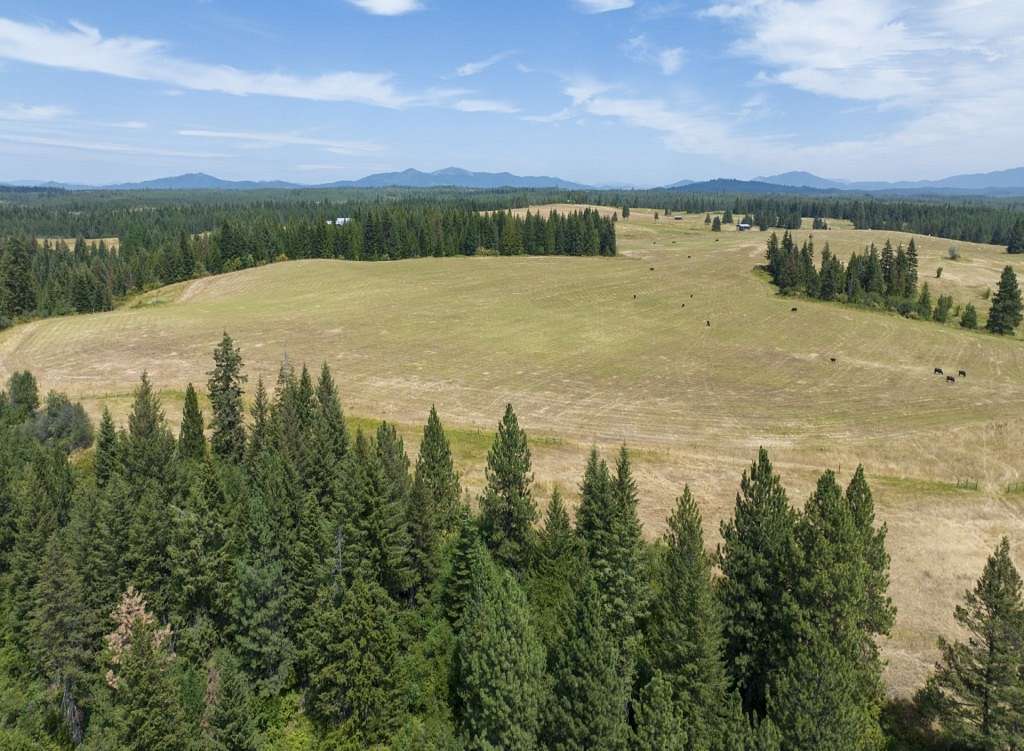 44.2 Acres of Land for Sale in Weippe, Idaho
