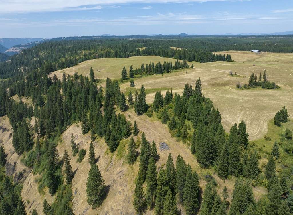 43.95 Acres of Recreational Land & Farm for Sale in Weippe, Idaho