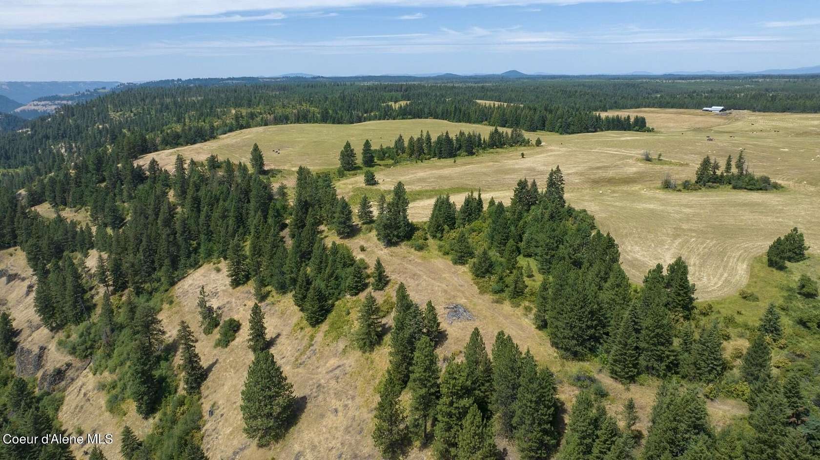 44 Acres of Agricultural Land for Sale in Weippe, Idaho