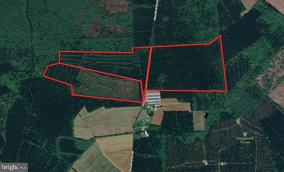 219.74 Acres of Recreational Land for Sale in Westover, Maryland