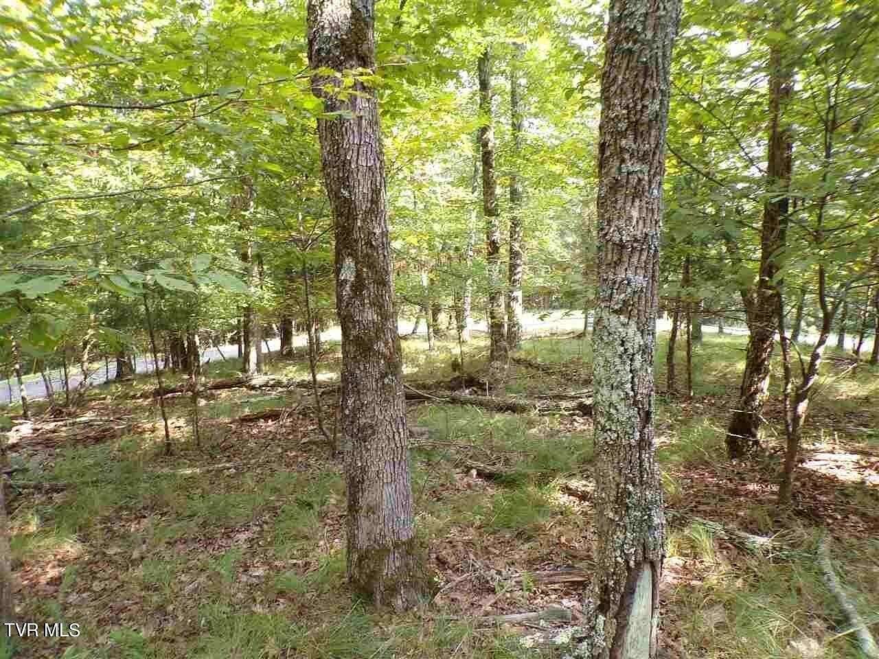 1.67 Acres of Residential Land for Sale in Mooresburg, Tennessee