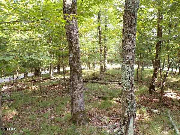 1.67 Acres of Residential Land for Sale in Mooresburg, Tennessee