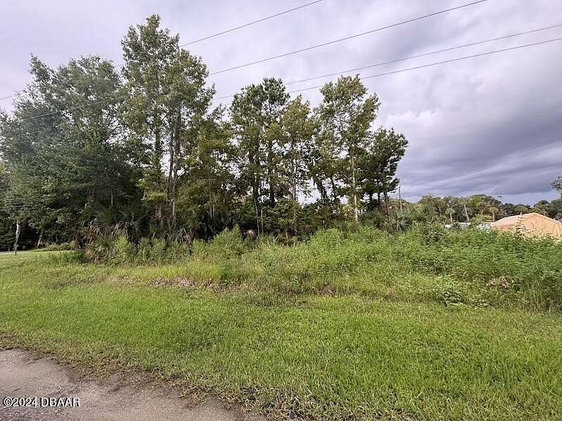 0.21 Acres of Land for Sale in Salt Springs, Florida