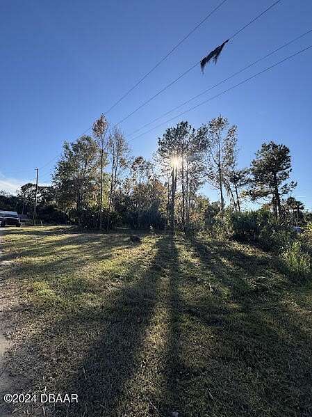 0.21 Acres of Land for Sale in Salt Springs, Florida