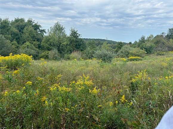 3 Acres of Land for Sale in Arcadia Town, New York