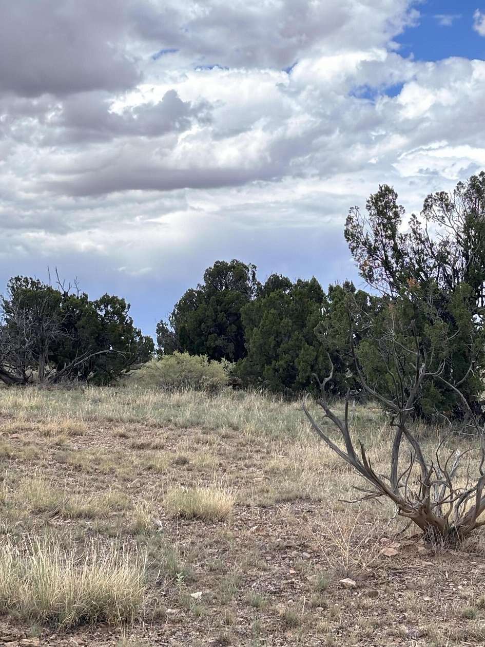 30.9 Acres of Land for Sale in Magdalena, New Mexico