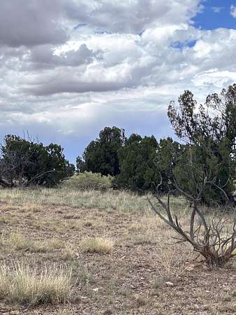 30.9 Acres of Land for Sale in Magdalena, New Mexico