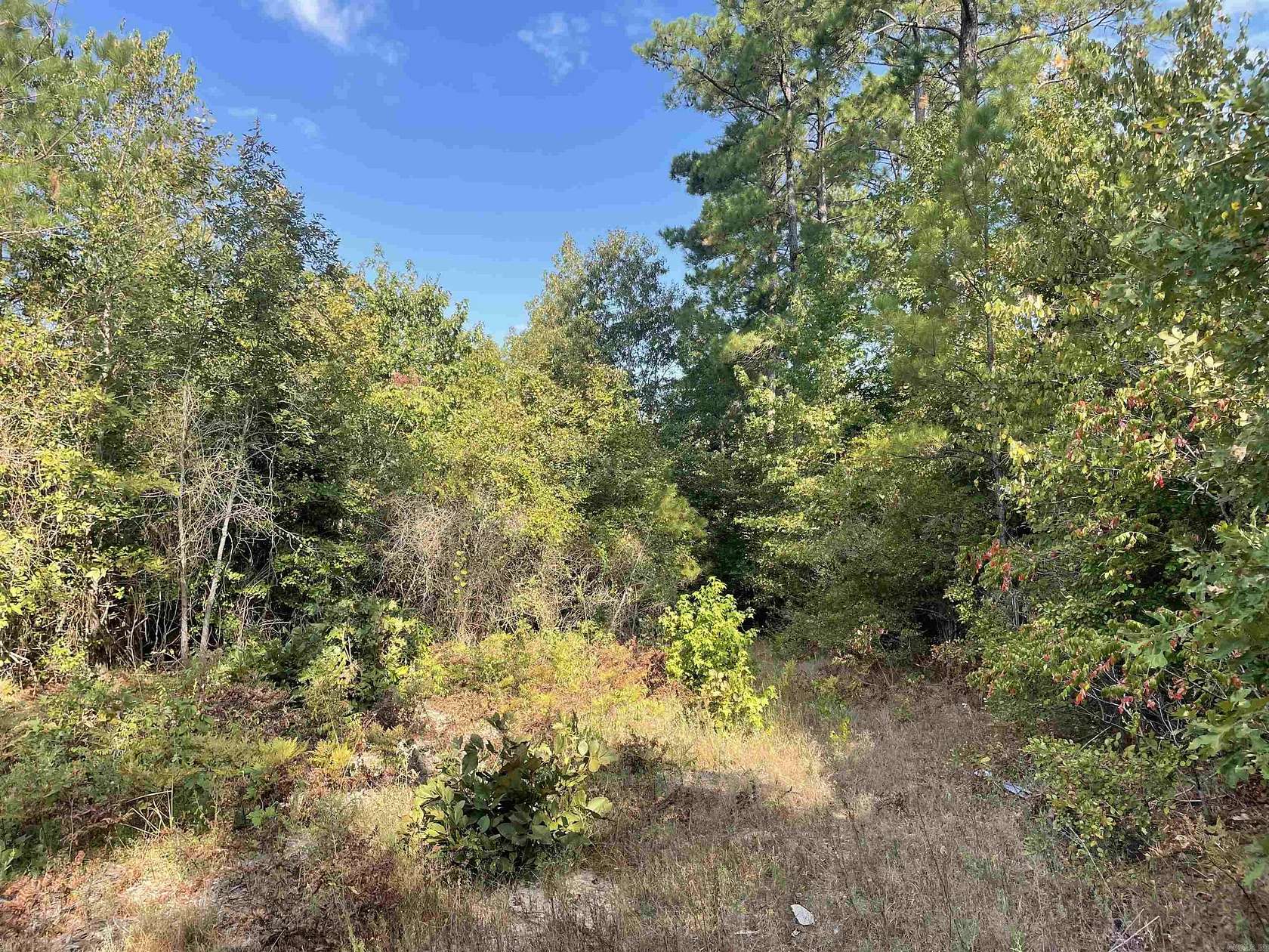 20.64 Acres of Recreational Land for Sale in Malvern, Arkansas