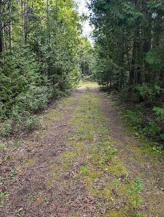 Residential Land for Sale in De Tour Village, Michigan