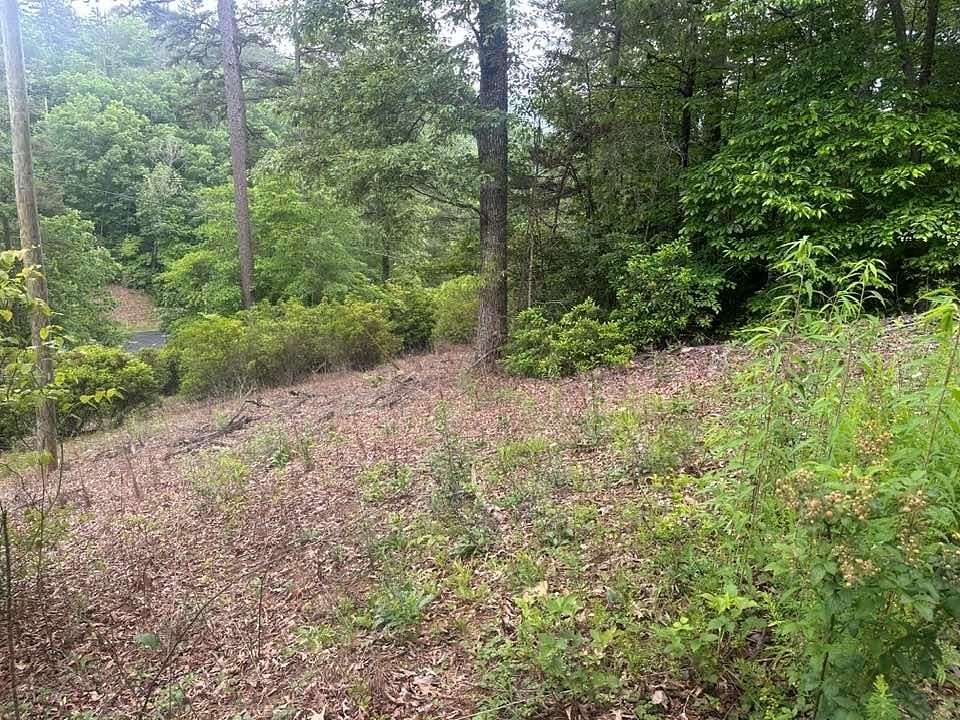 1.29 Acres of Residential Land for Sale in Robbinsville, North Carolina