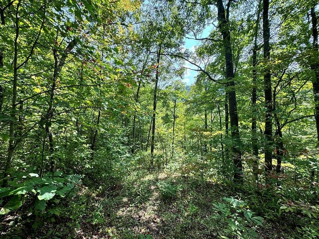 4 Acres of Residential Land for Sale in Bryson City, North Carolina