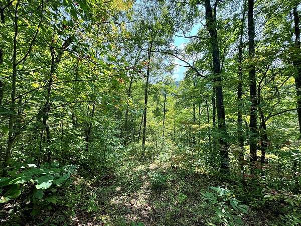 4 Acres of Land for Sale in Bryson City, North Carolina