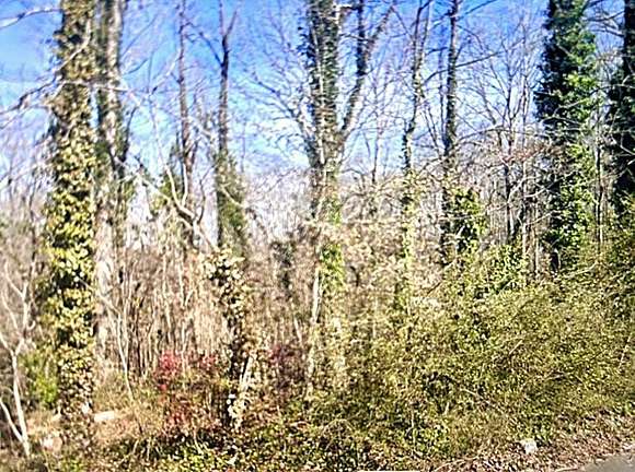 0.46 Acres of Residential Land for Sale in Mableton, Georgia