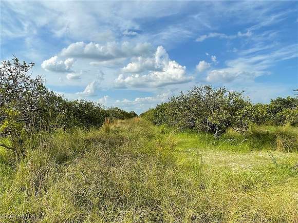 93.61 Acres of Agricultural Land for Sale in LaBelle, Florida