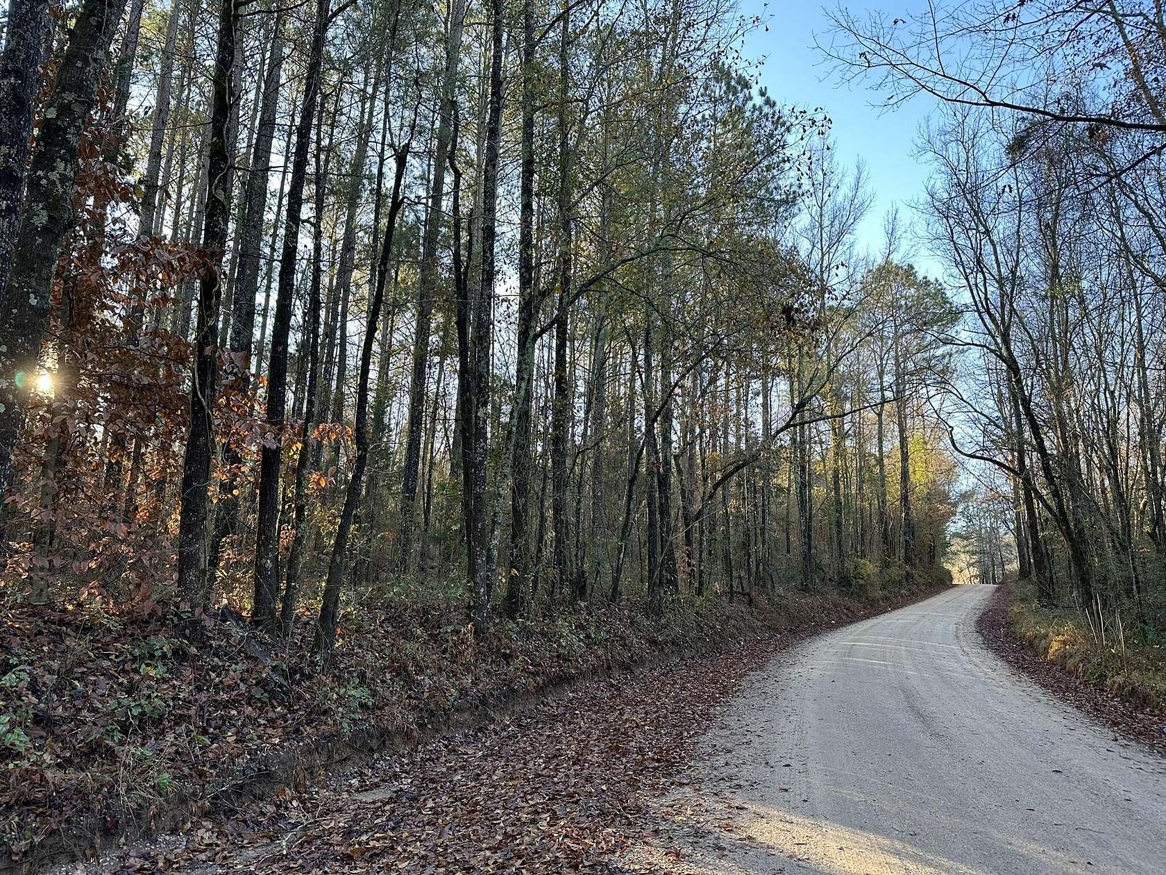 23 Acres of Land for Sale in Batesburg-Leesville, South Carolina