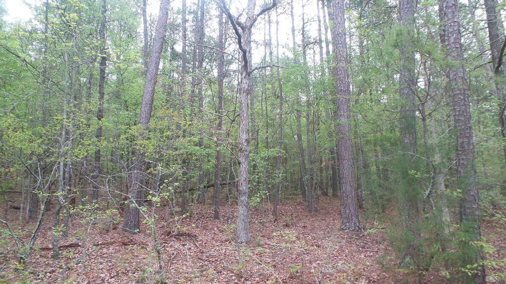 1.77 Acres of Residential Land for Sale in Tignall, Georgia