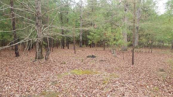 1.5 Acres of Residential Land for Sale in Lincolnton, Georgia