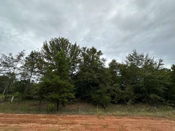 1 Acre of Residential Land for Sale in Louisville, Georgia