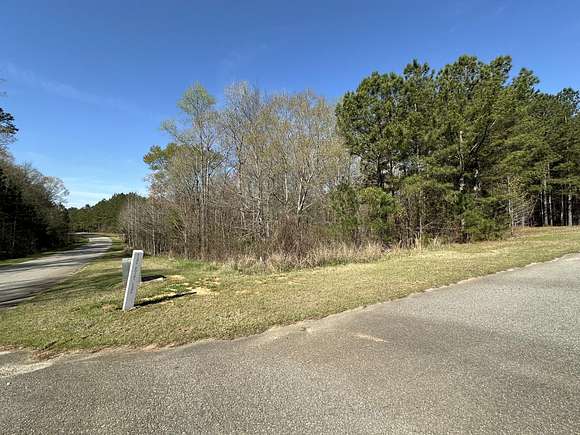 3.51 Acres of Residential Land for Sale in Tignall, Georgia