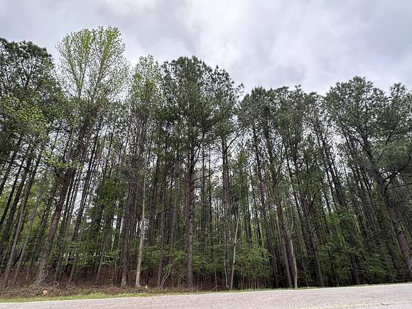 6.65 Acres of Residential Land for Sale in Appling, Georgia