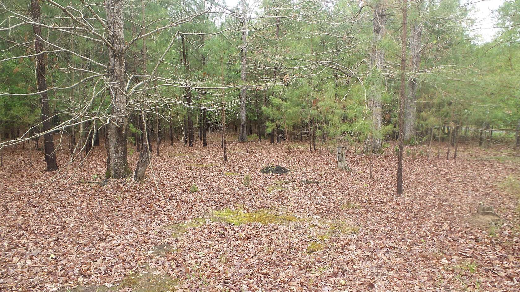 1.75 Acres of Residential Land for Sale in Tignall, Georgia