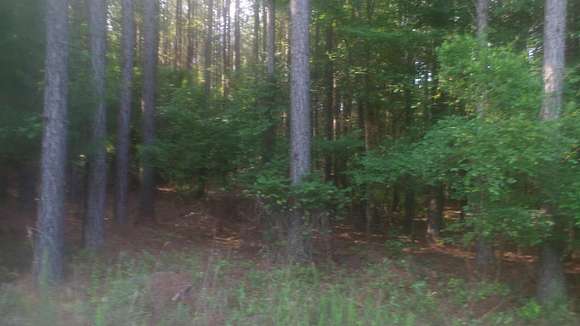 2.53 Acres of Residential Land for Sale in Tignall, Georgia