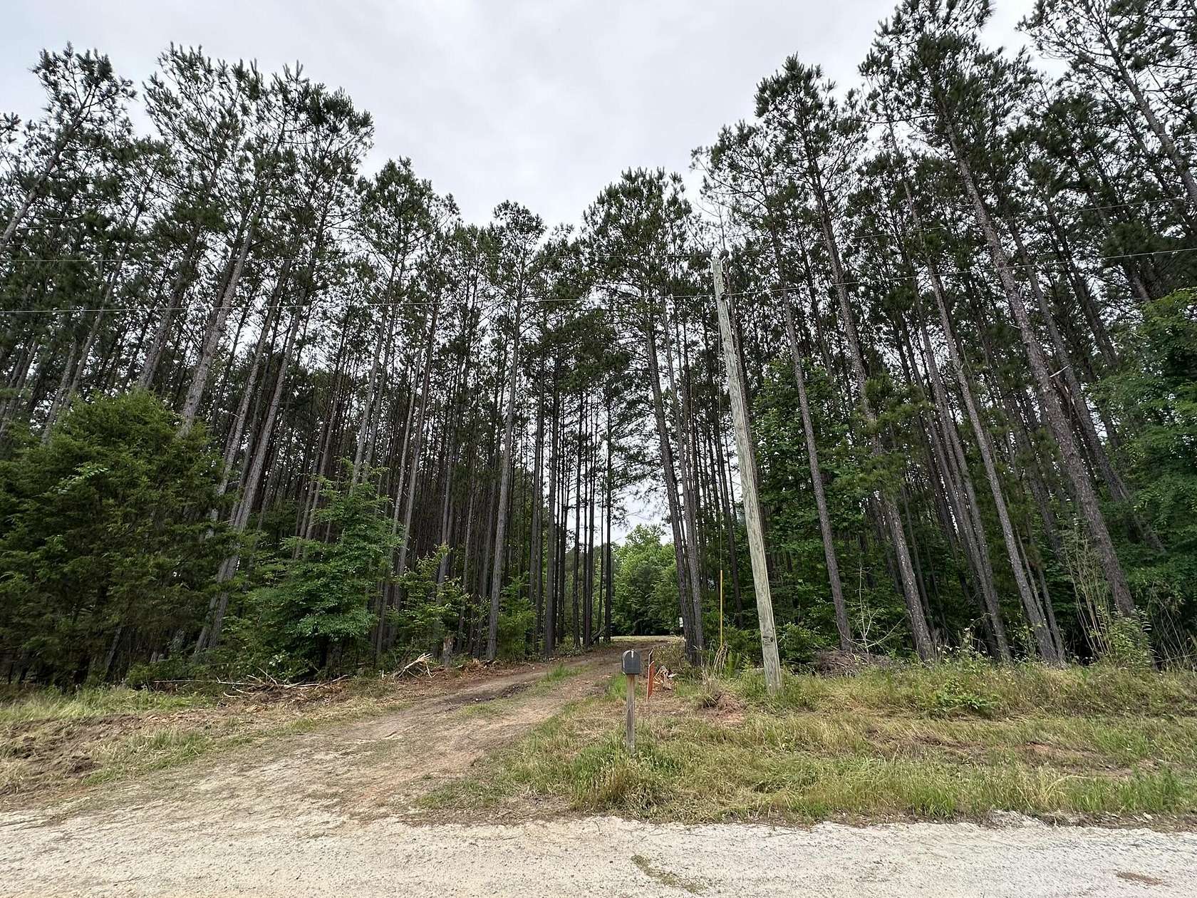 6.69 Acres of Residential Land for Sale in Tignall, Georgia