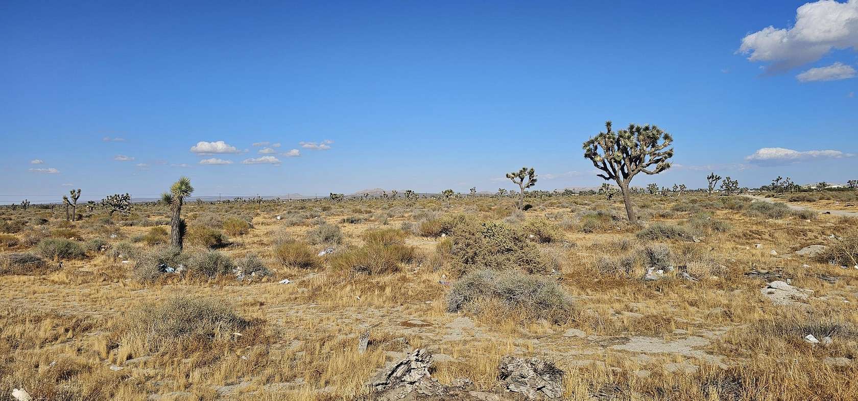 1.289 Acres of Residential Land for Sale in Palmdale, California