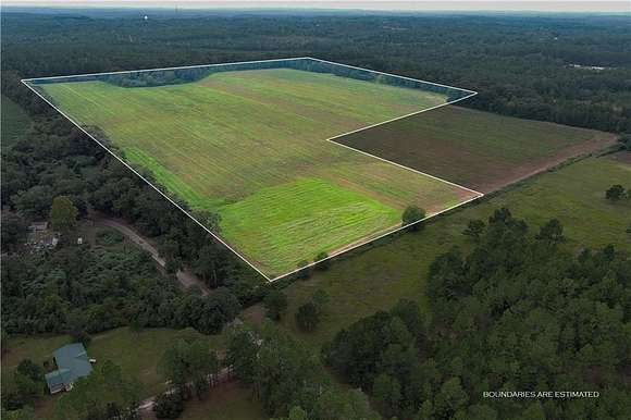 54 Acres of Agricultural Land for Sale in Atmore, Alabama