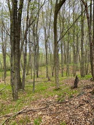 40 Acres of Recreational Land for Sale in Parma, Michigan