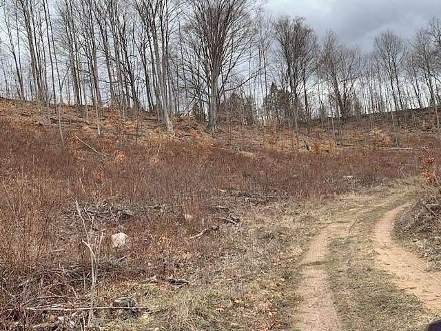 95.94 Acres of Recreational Land for Sale in Bear Lake, Michigan