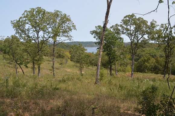 1.41 Acres of Residential Land for Sale in Lampe, Missouri