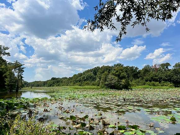 73 Acres of Recreational Land & Farm for Sale in Yazoo City, Mississippi