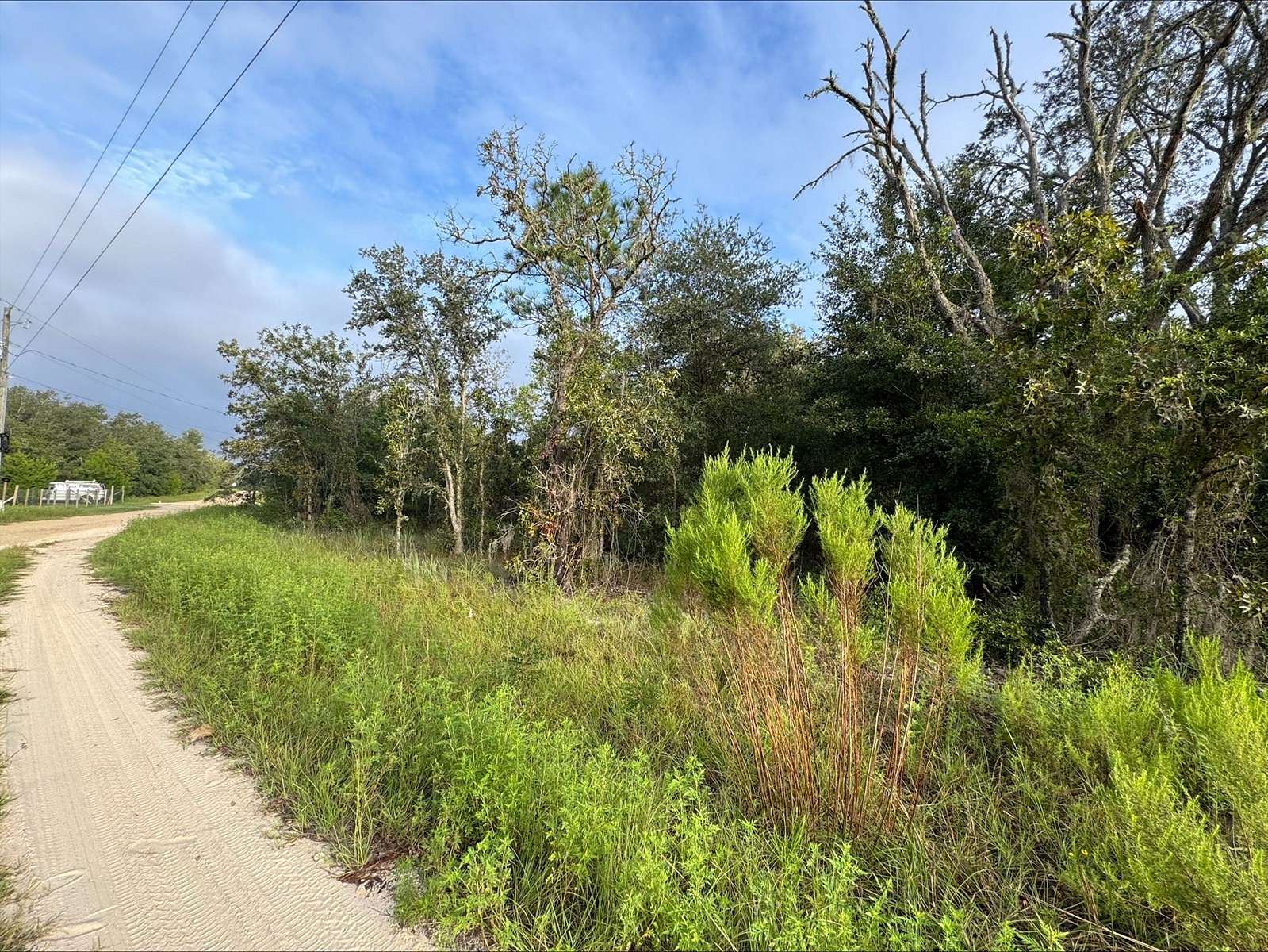 0.23 Acres of Residential Land for Sale in Williston, Florida