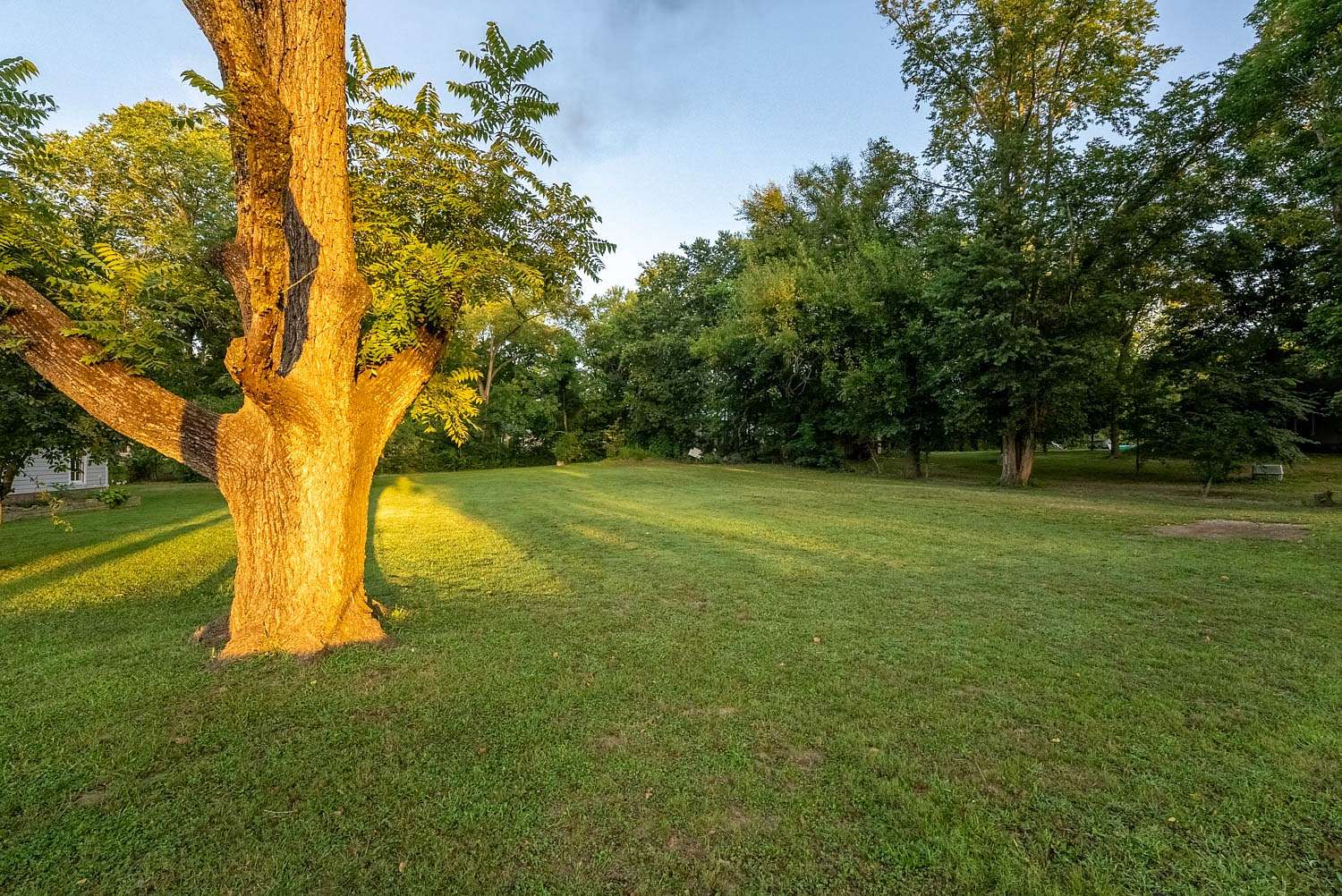 0.4 Acres of Residential Land for Sale in Birch Tree, Missouri